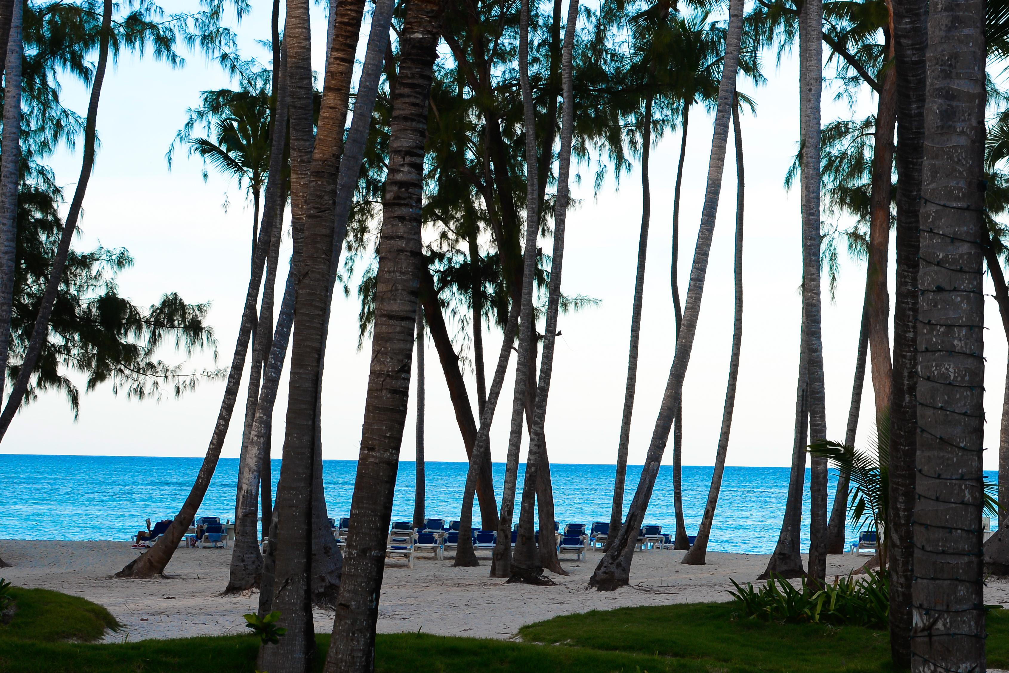 Vista Sol Punta Cana Exterior foto