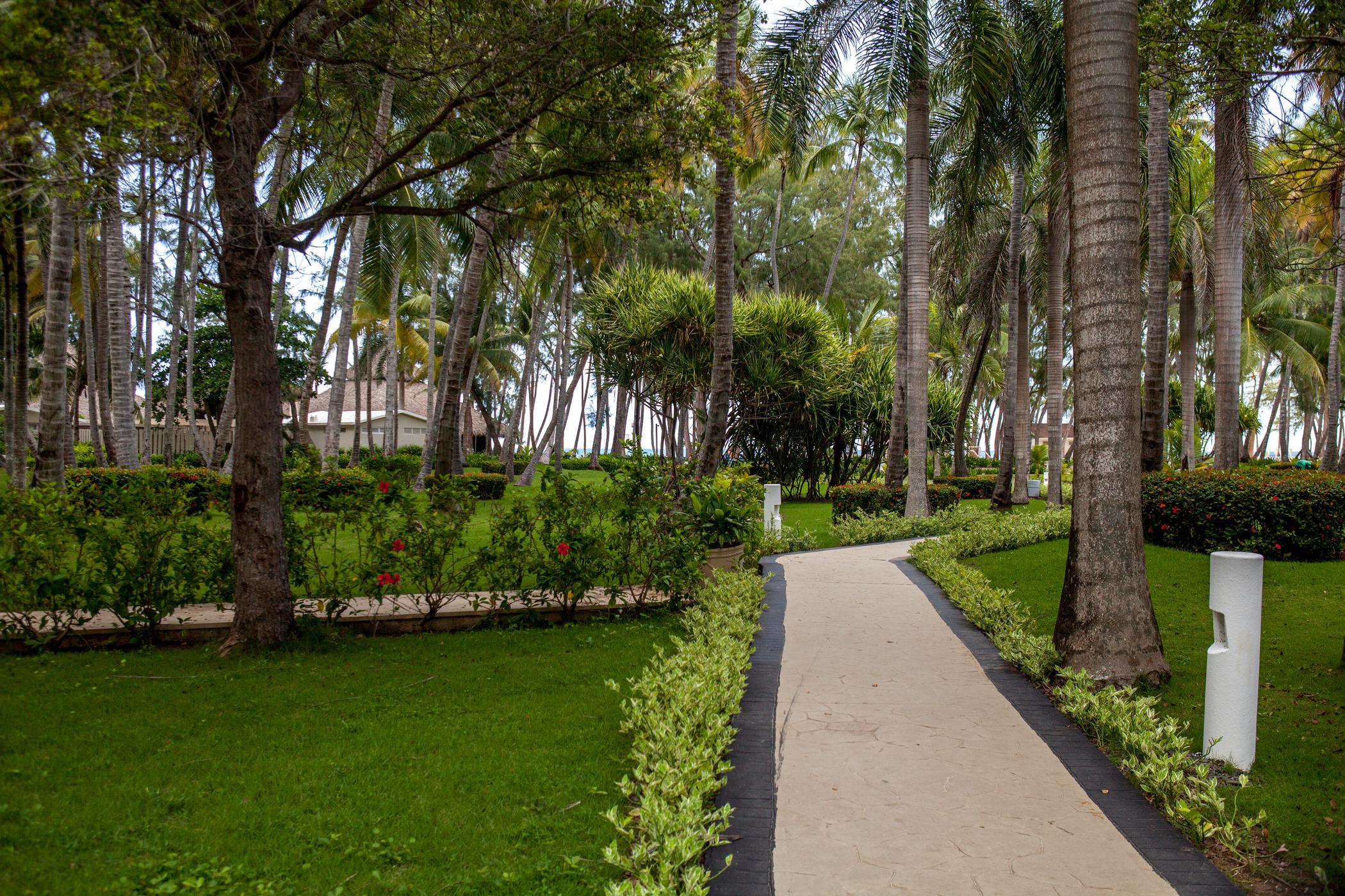 Vista Sol Punta Cana Exterior foto
